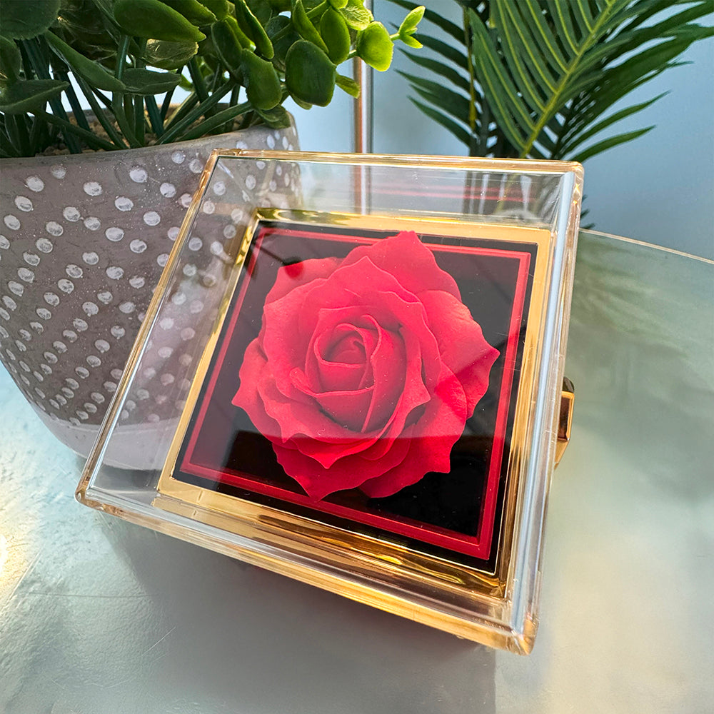 To My Soulmate Blue Squeeze Forever Love Necklace Rose Box Gift Set