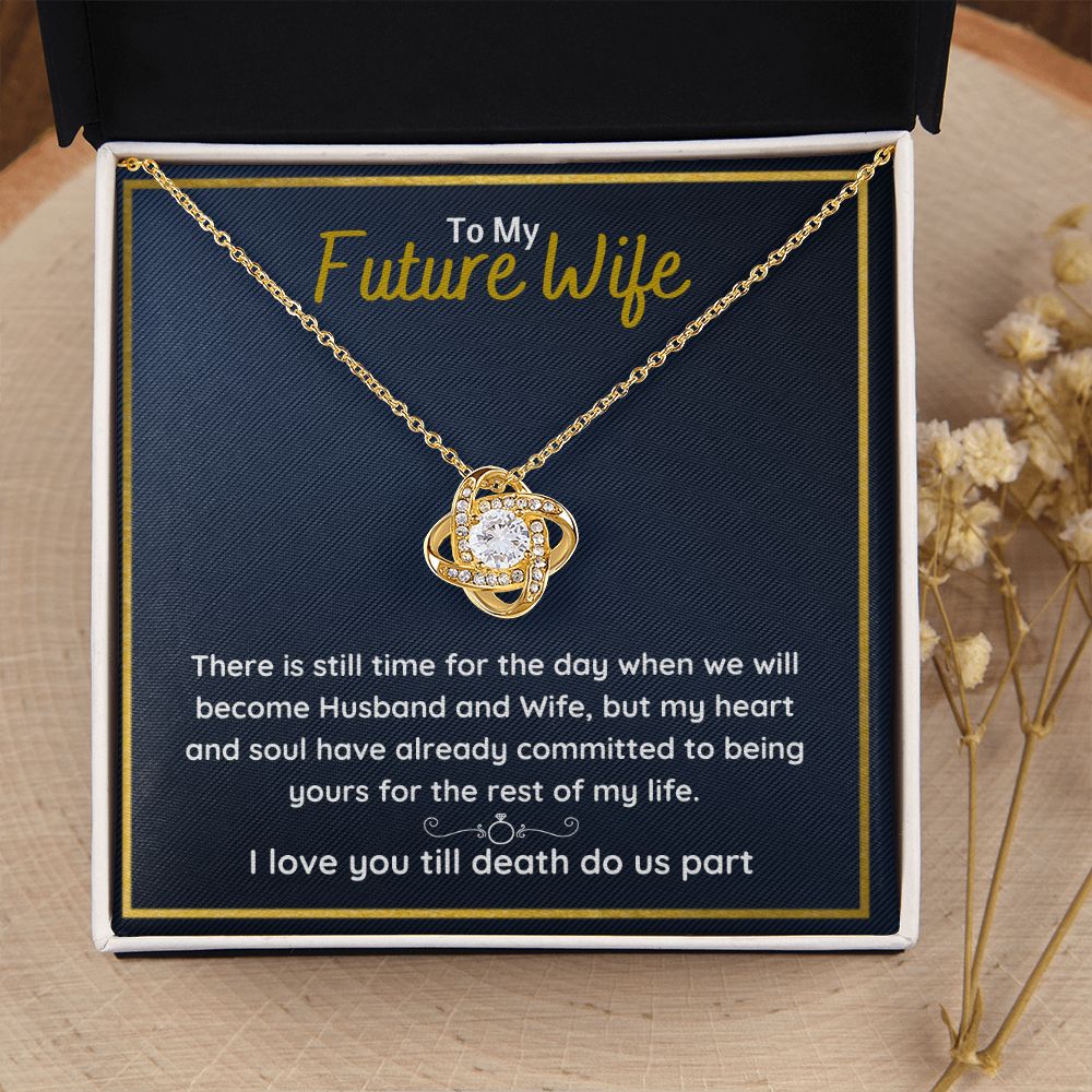 fiance gifts for her couples necklace to my future wife fiance couples necklace stainless steel couple gifts for girlfriend - ON CLOUD NINE GIFTS