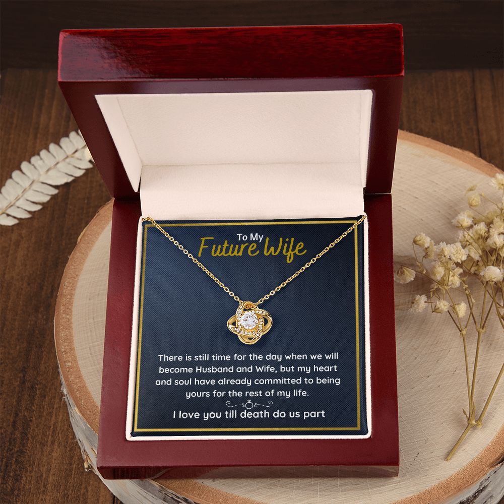fiance gifts for her couples necklace to my future wife fiance couples necklace stainless steel couple gifts for girlfriend - ON CLOUD NINE GIFTS