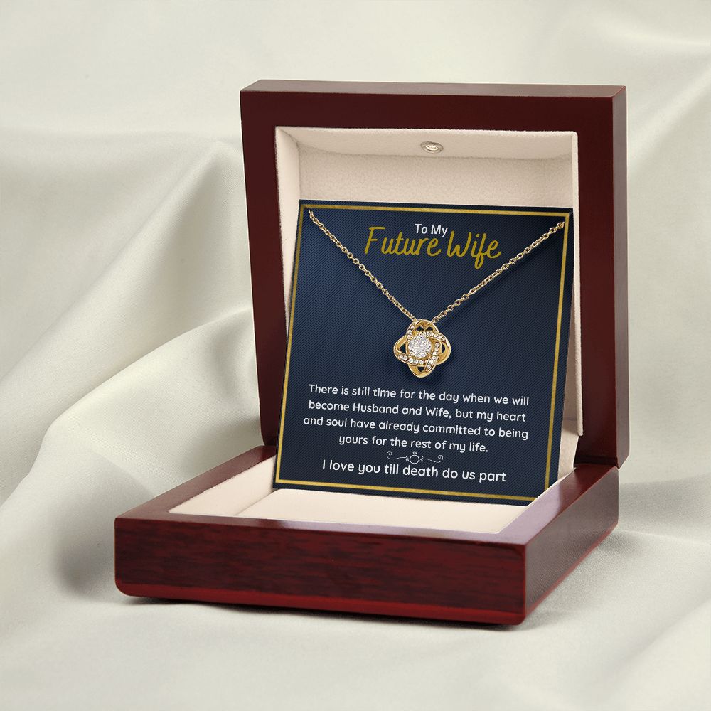 fiance gifts for her couples necklace to my future wife fiance couples necklace stainless steel couple gifts for girlfriend - ON CLOUD NINE GIFTS