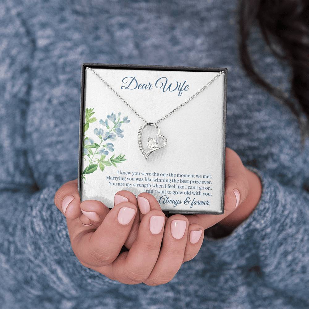 DEAR WIFE "THE ONE" FOREVER LOVE NECKLACE GIFT SET - ON CLOUD NINE GIFTS
