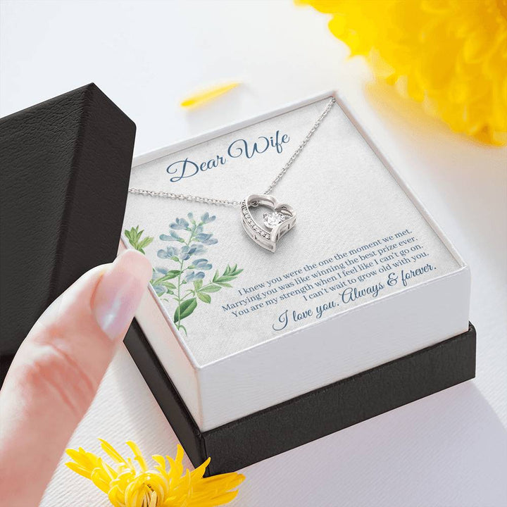 DEAR WIFE "THE ONE" FOREVER LOVE NECKLACE GIFT SET - ON CLOUD NINE GIFTS