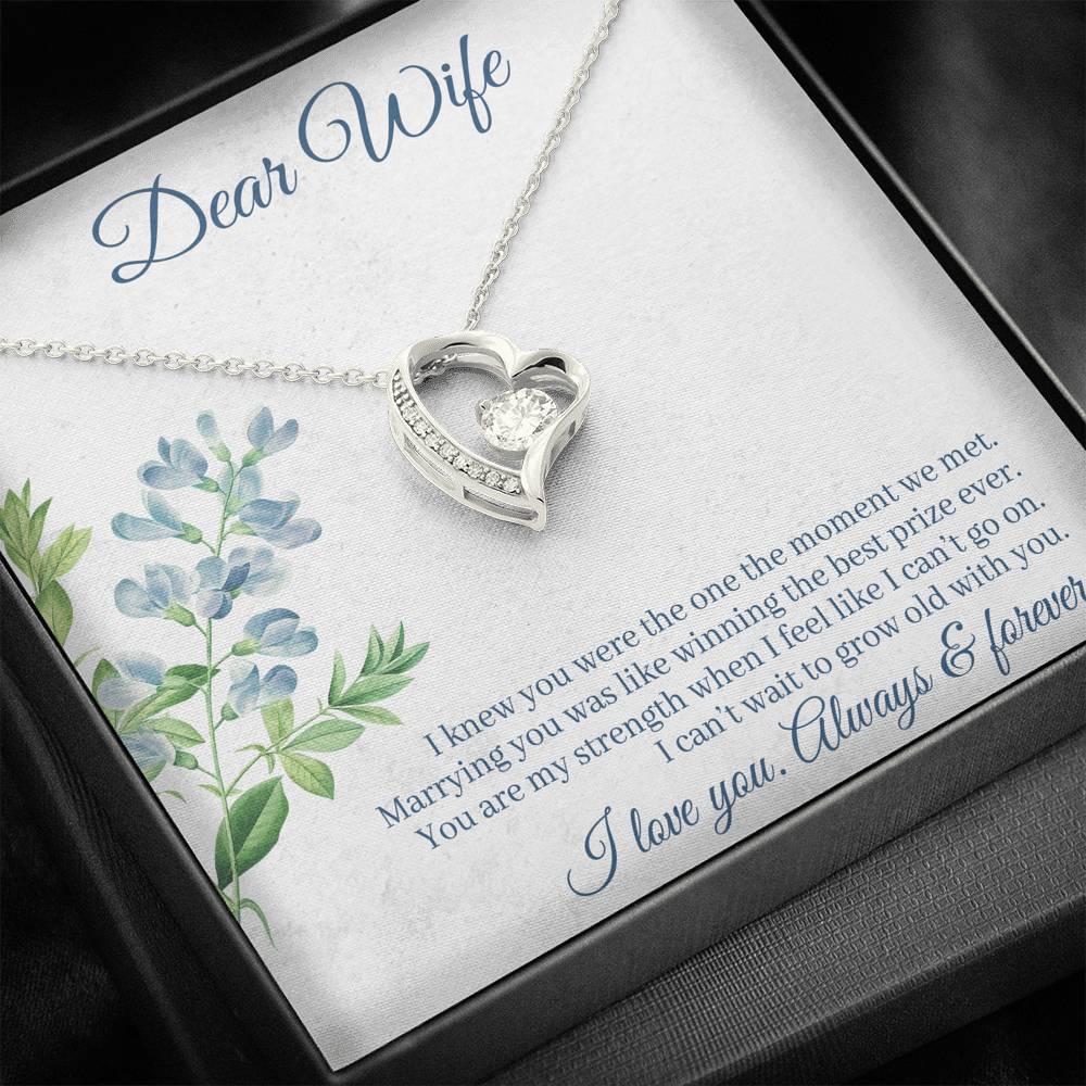 DEAR WIFE "THE ONE" FOREVER LOVE NECKLACE GIFT SET - ON CLOUD NINE GIFTS