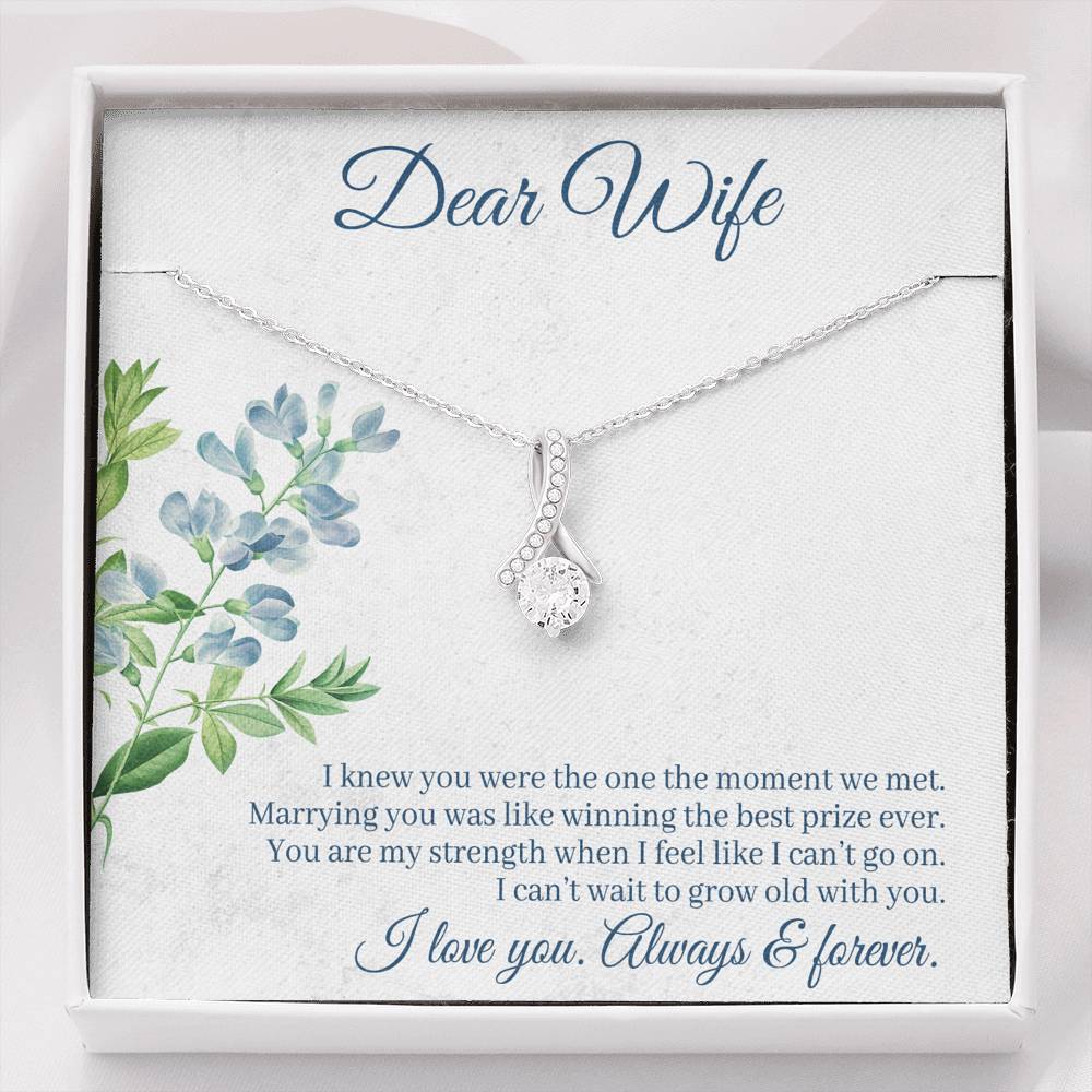 DEAR WIFE "THE ONE" ALLURING BEAUTY NECKLACE GIFT SET - ON CLOUD NINE GIFTS