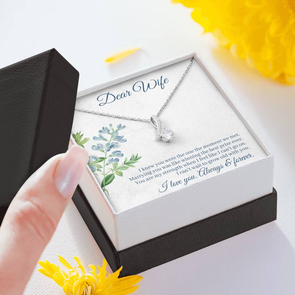 DEAR WIFE "THE ONE" ALLURING BEAUTY NECKLACE GIFT SET - ON CLOUD NINE GIFTS