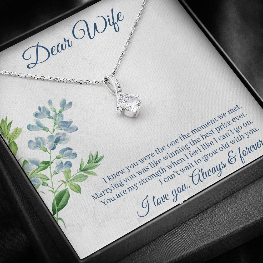 DEAR WIFE "THE ONE" ALLURING BEAUTY NECKLACE GIFT SET - ON CLOUD NINE GIFTS